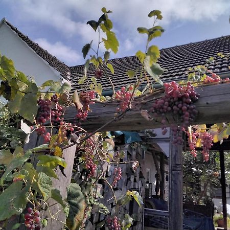 Gemuetlichkeit Am Vierkanthof - Apartment 2 Worterberg Екстериор снимка