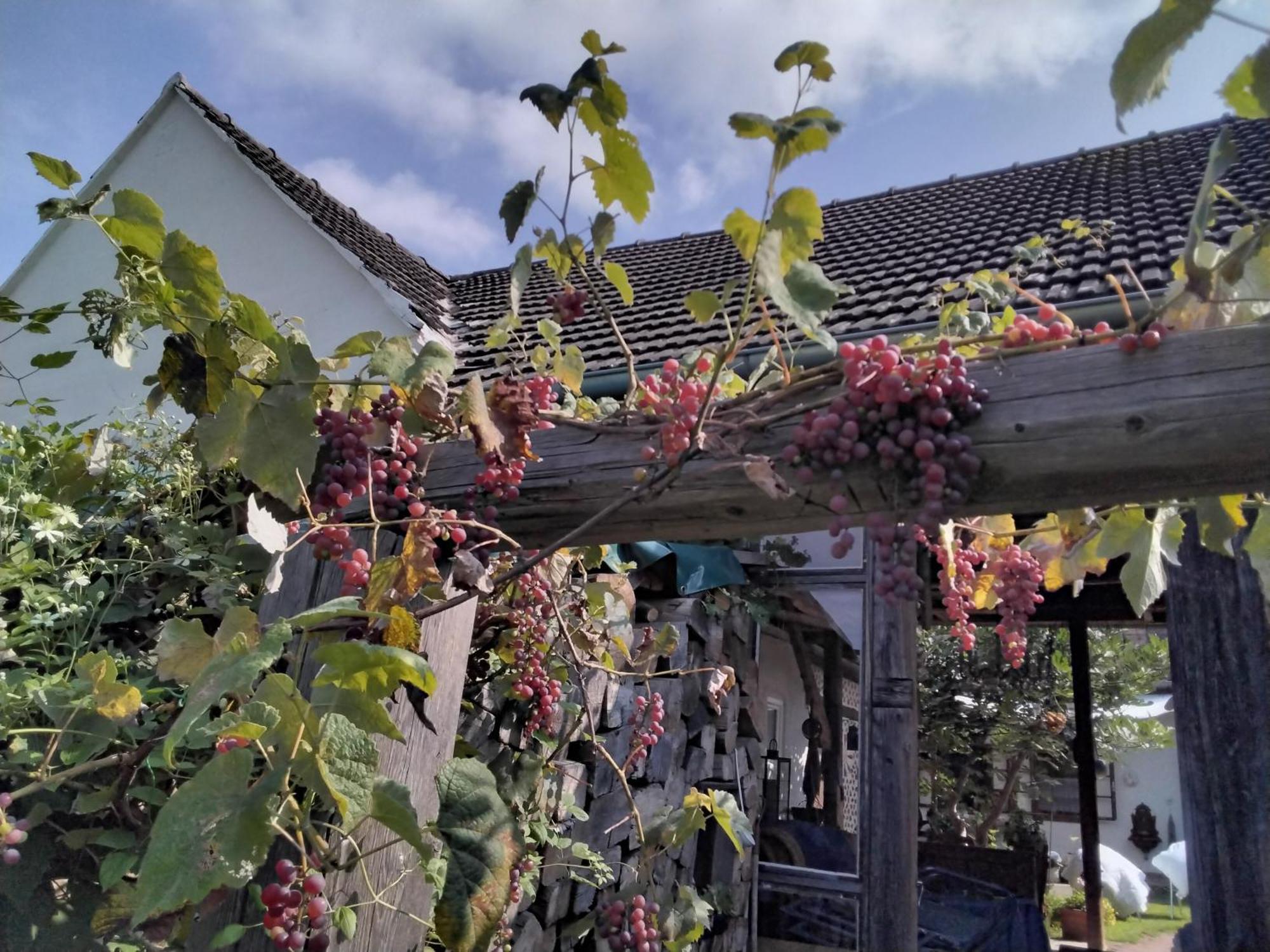 Gemuetlichkeit Am Vierkanthof - Apartment 2 Worterberg Екстериор снимка